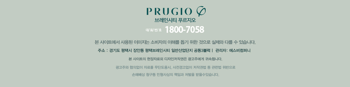 평택 브레인시티 푸르지오